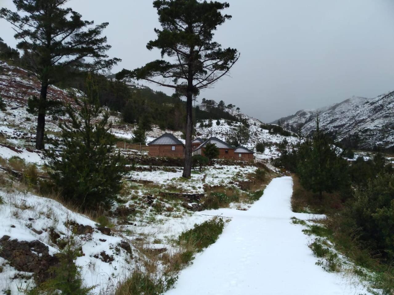 ホテル Mountain Eco Shelter 1 フンシャル エクステリア 写真